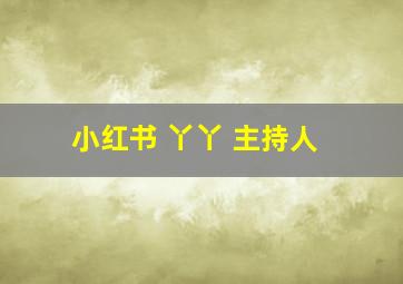 小红书 丫丫 主持人